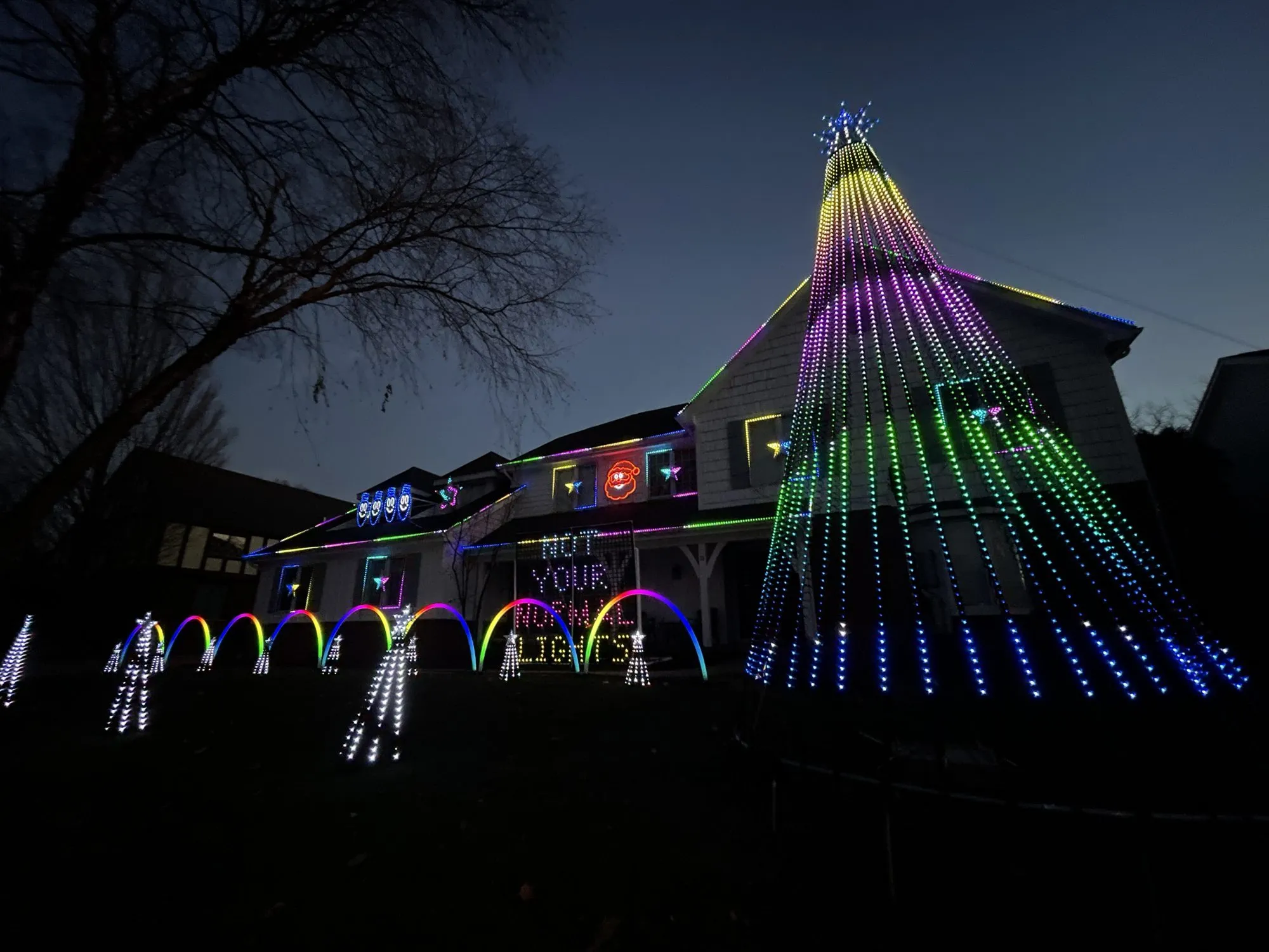 Rainbow mega tree, 2021